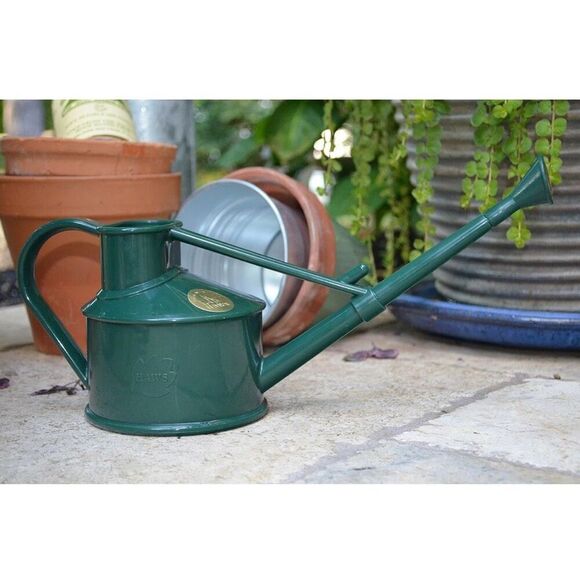 Plastic Watering Can, Mini Water Can for Indoor Plants Balck 1 Pint New - Picture 2 of 8